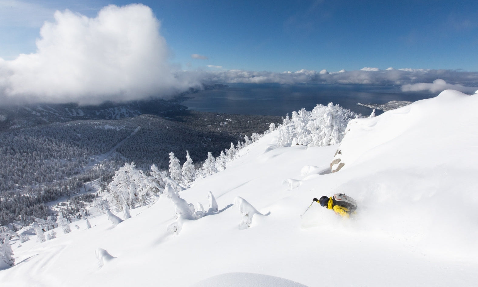  Tahoe
