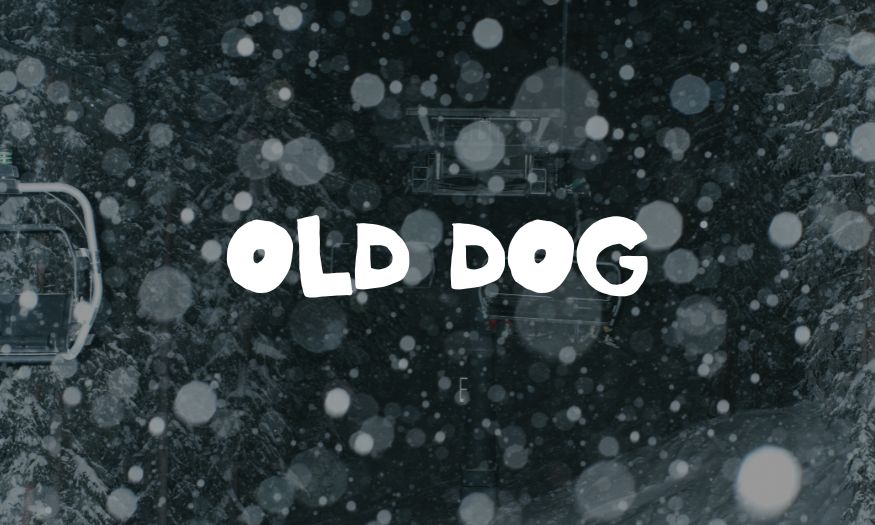 OLD DOG