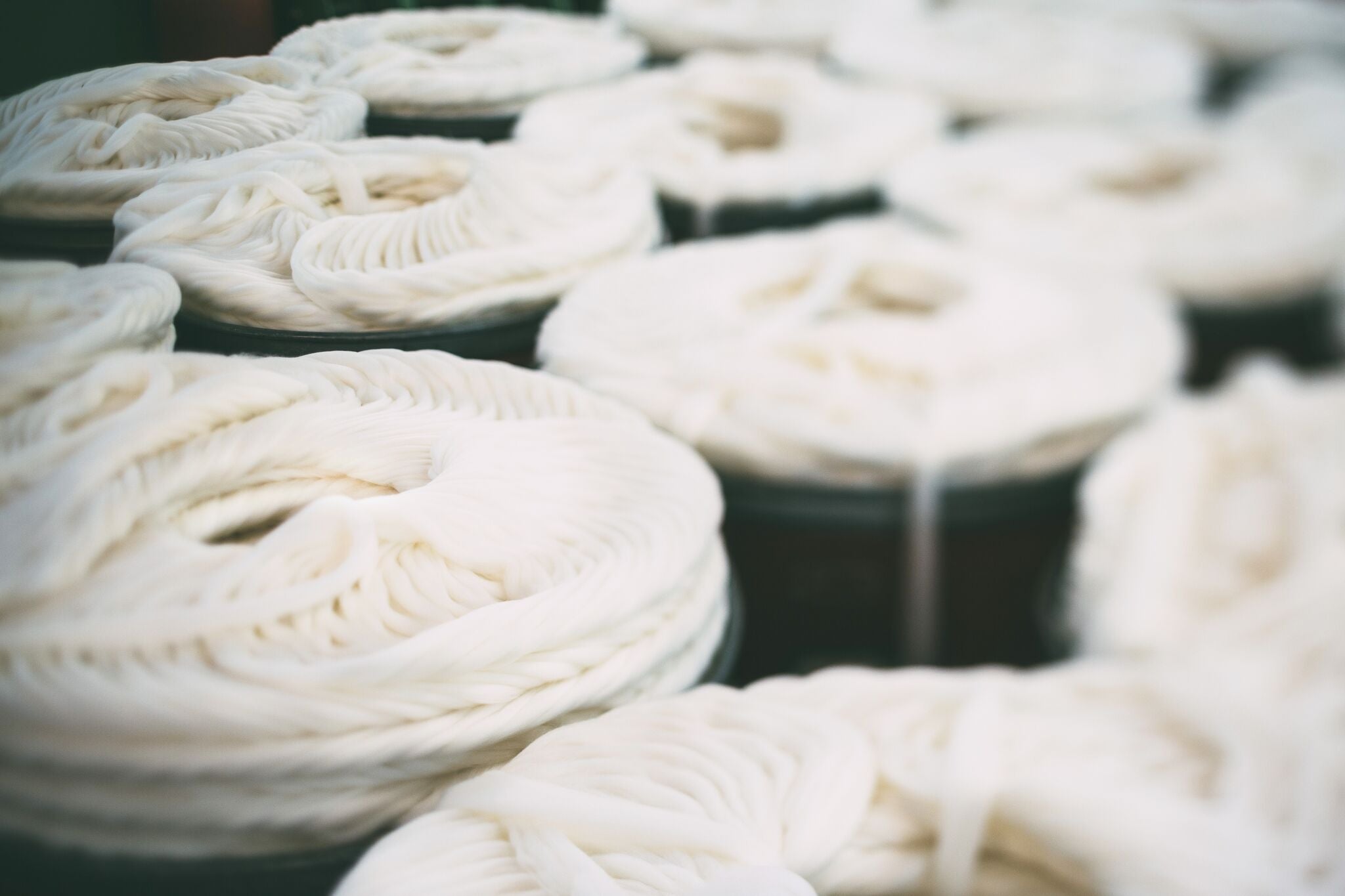 What is Merino Wool?