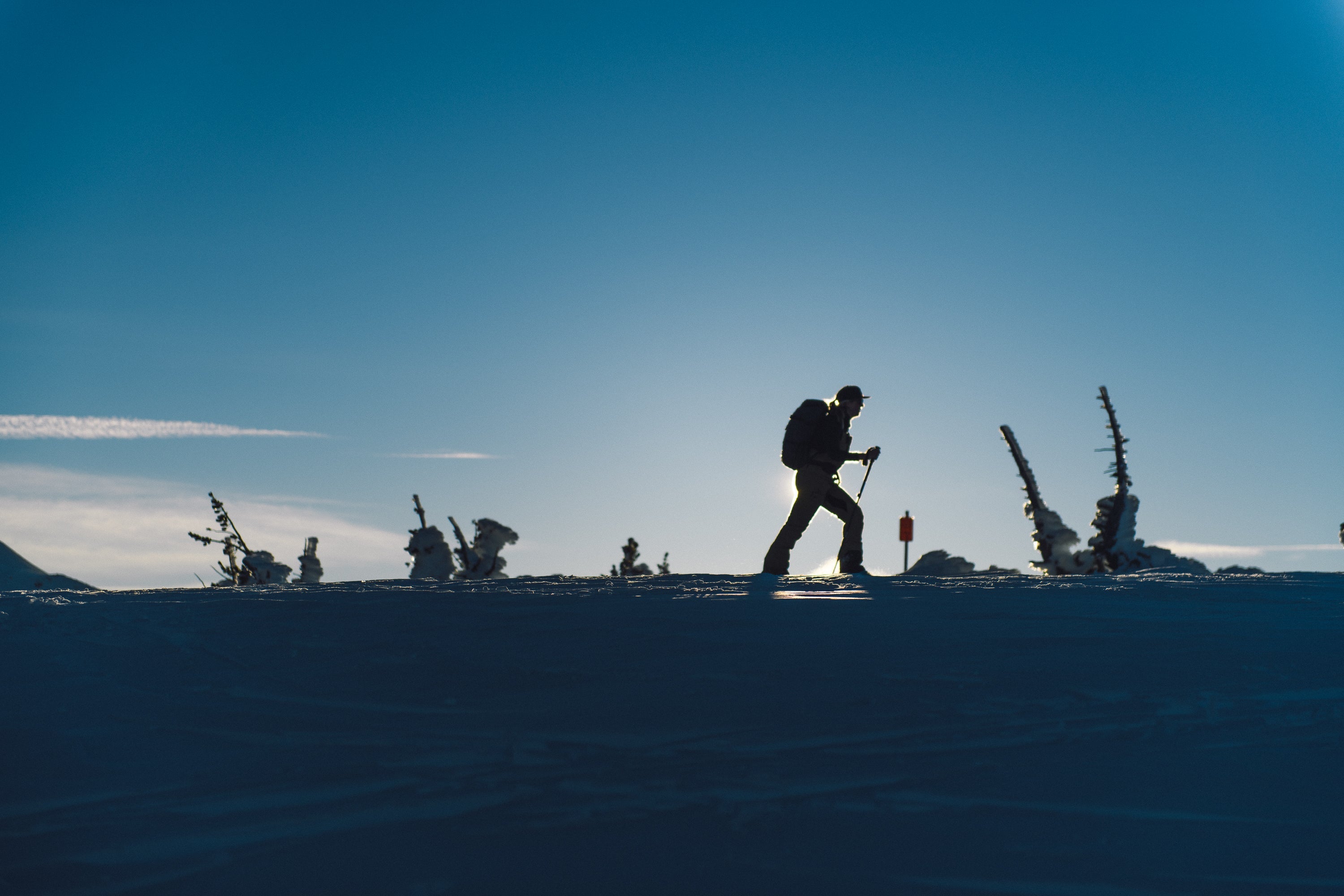 Calling ALL Shapes + Sizes for our Extended Sizing Project