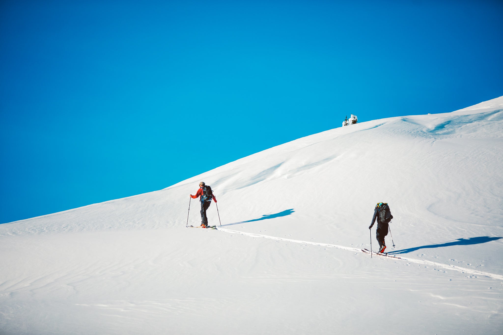 Decision Making in the Backcountry