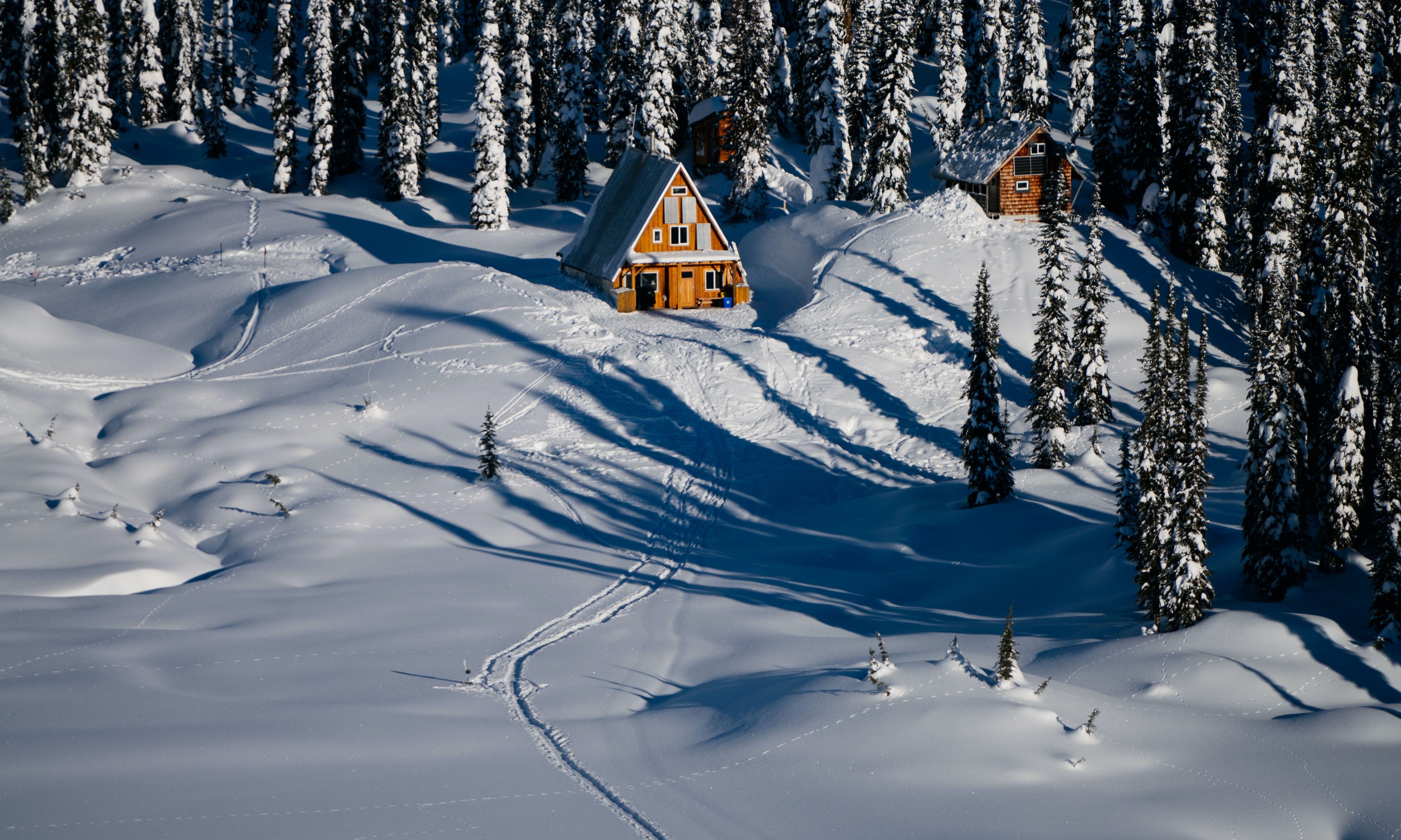 We May Be In Canada, But We're Still Open!