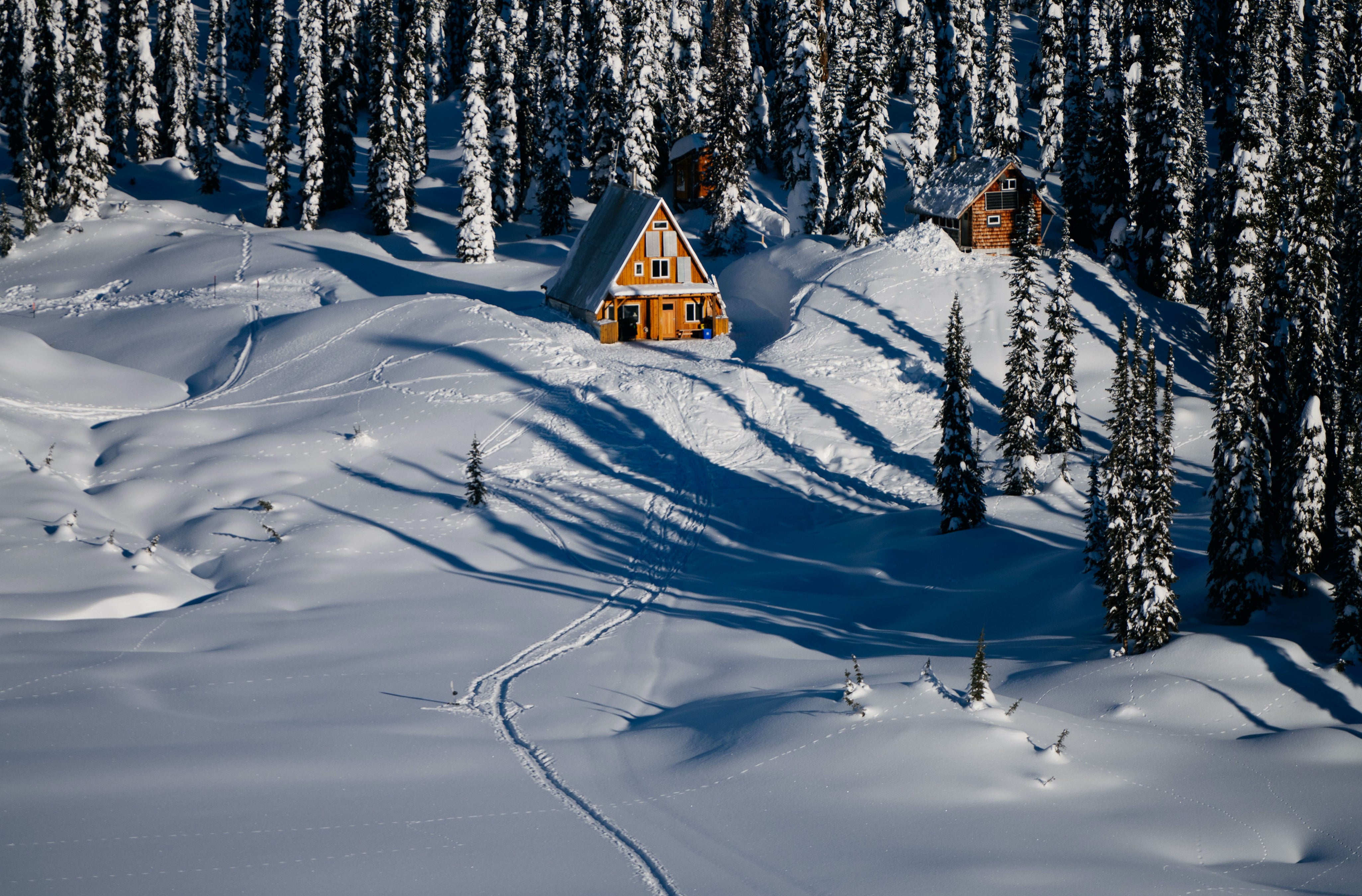 We May Be In Canada, But We're Still Open!
