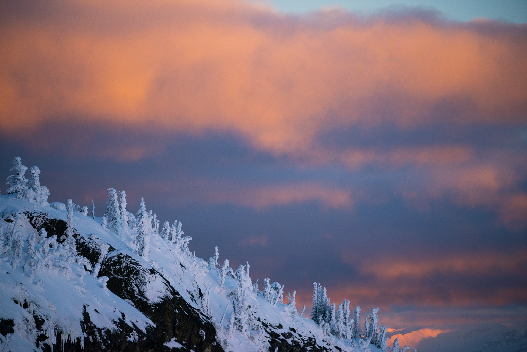 Mentally Together with Cassidy Quinn