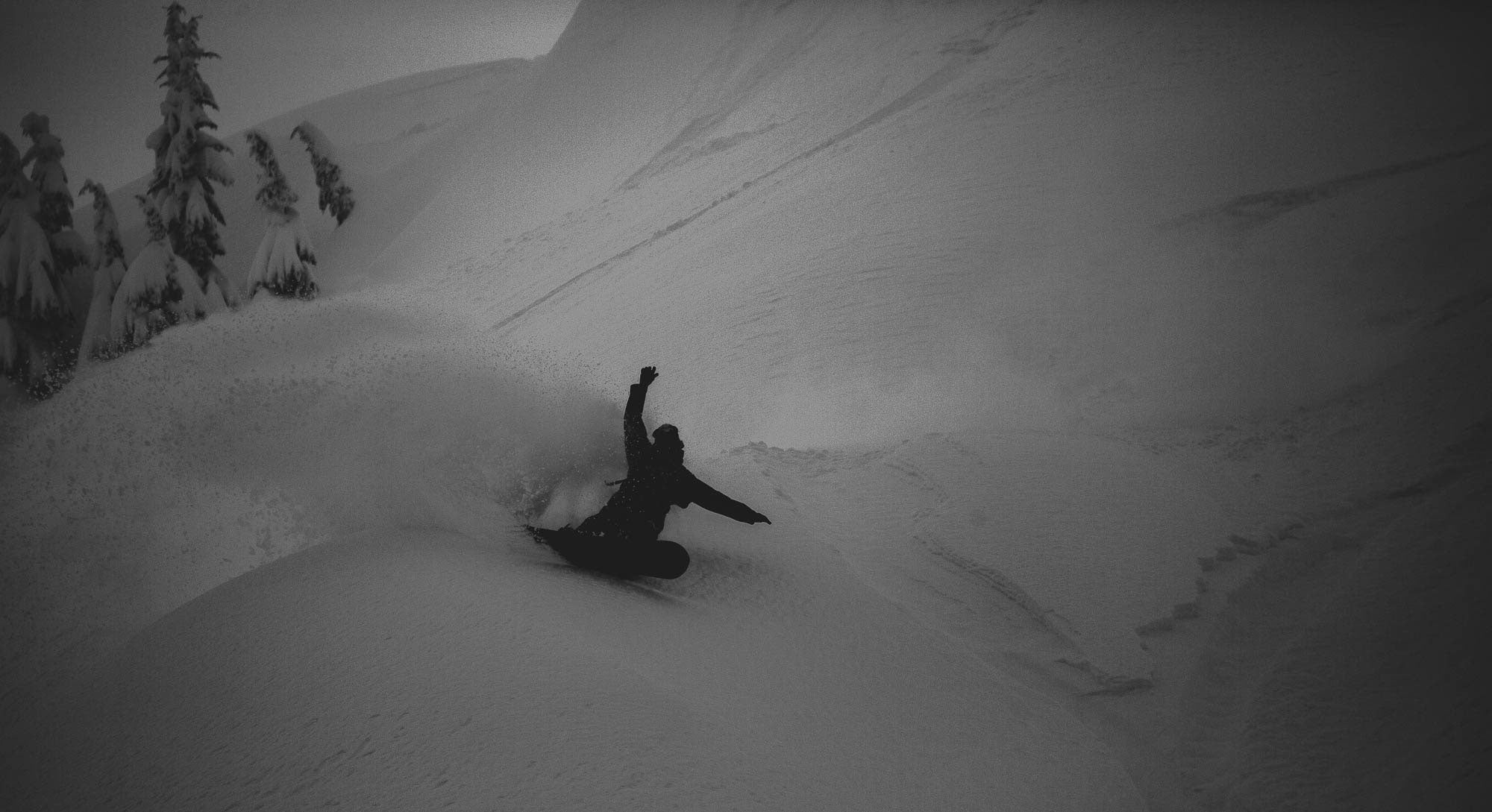 In Rainier National Park with Friends