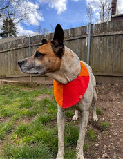 [AFTERLIFE] Upcycled Dog Bandana