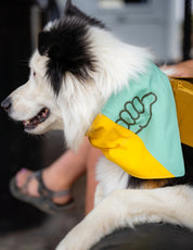 M Yellow and Teal Thumb