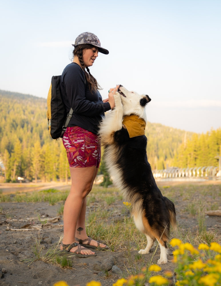 [AFTERLIFE] Upcycled Cycle Dog Bandana