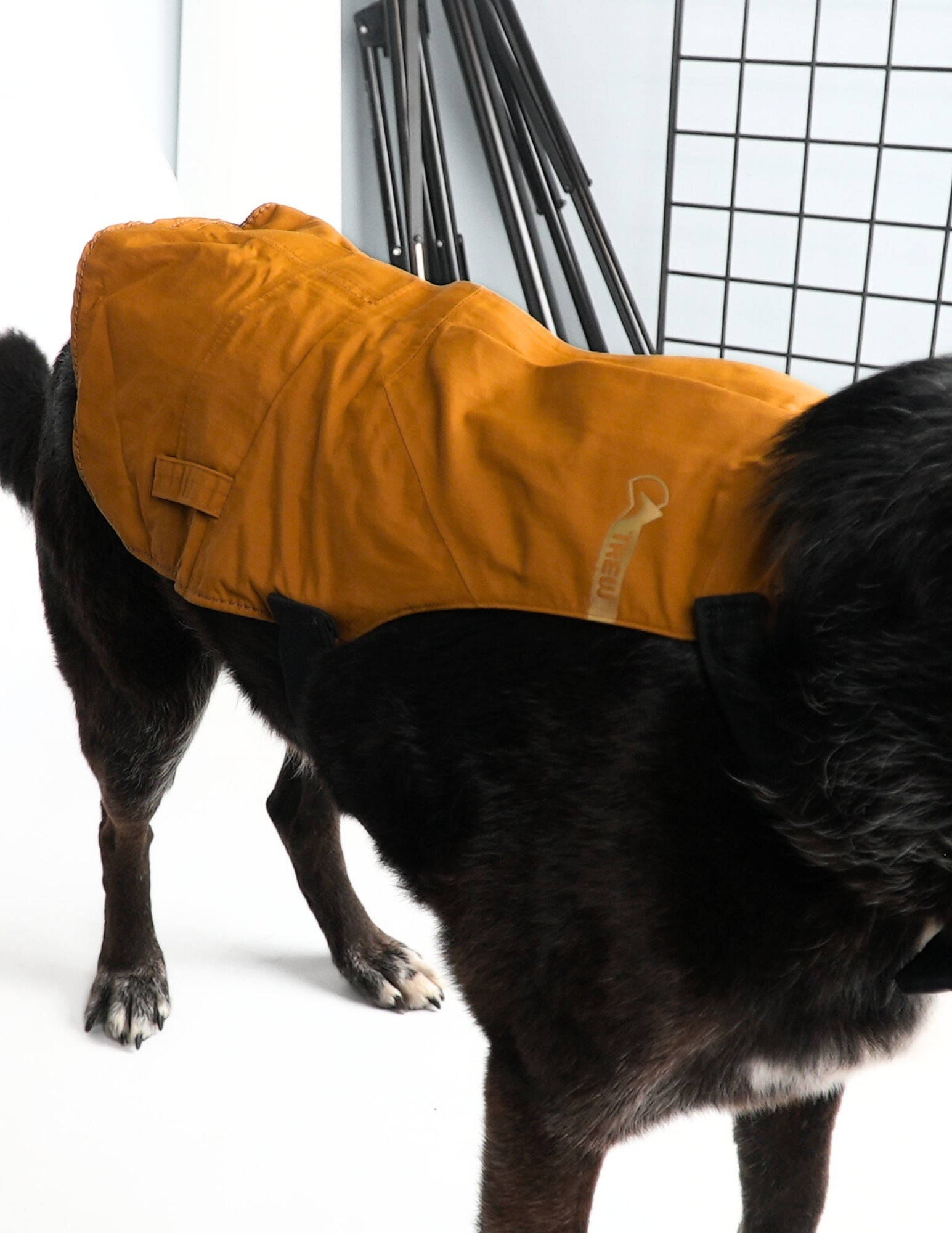 [AFTERLIFE] Upcycled PNW Dog Jacket - Medium