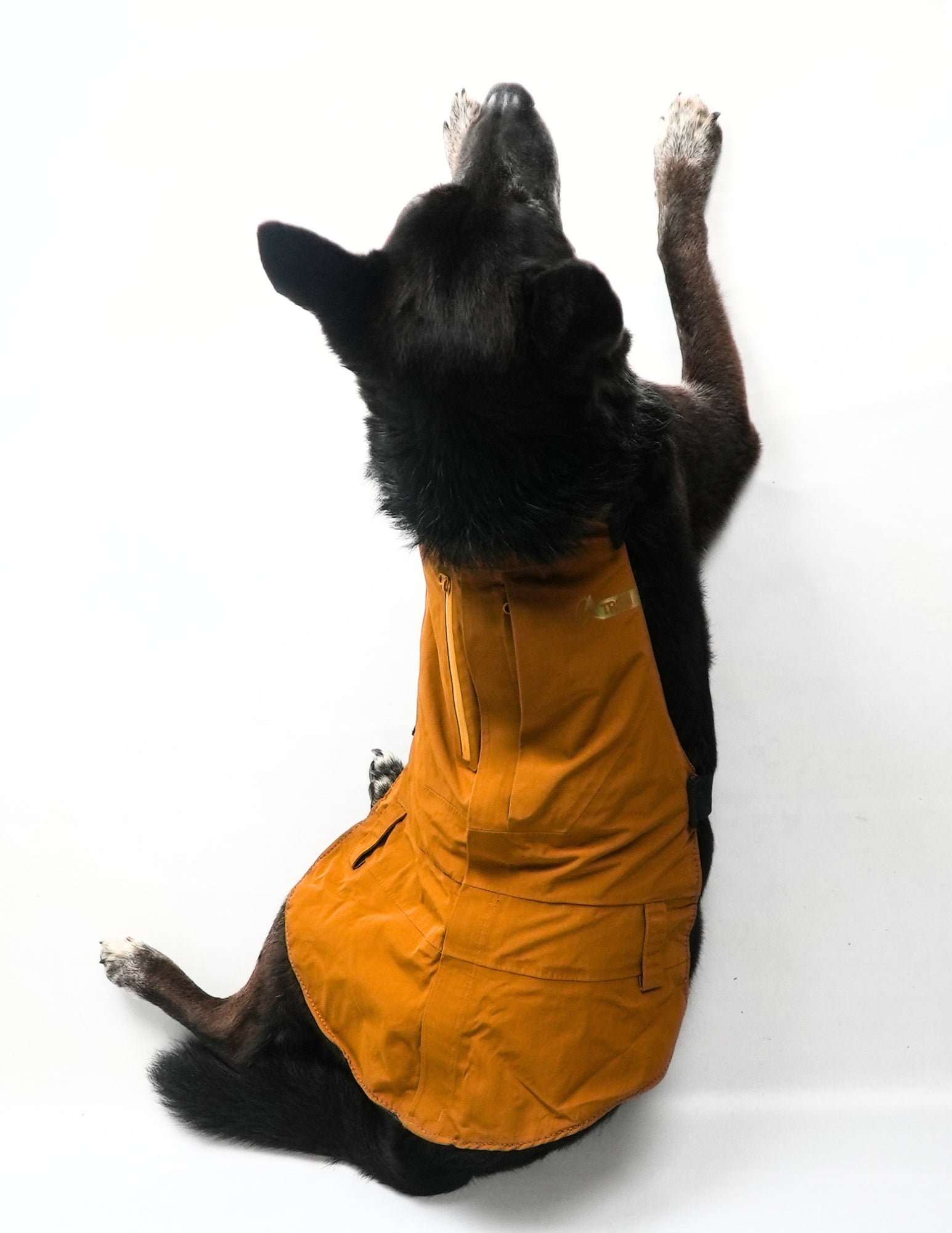 [AFTERLIFE] Upcycled PNW Dog Jacket - Medium