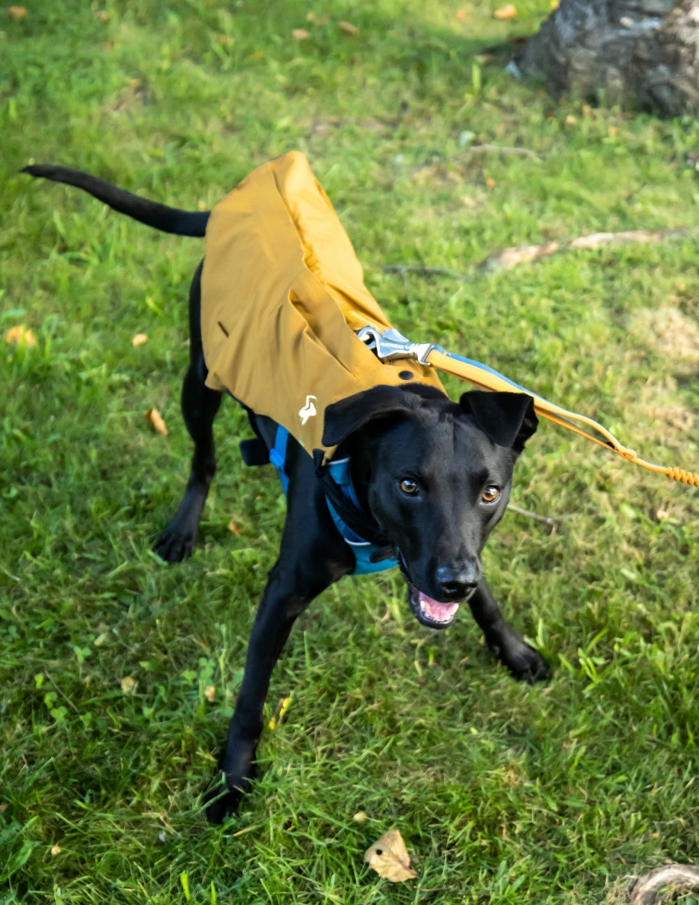 [AFTERLIFE] Upcycled PNW Dog Jacket - Medium