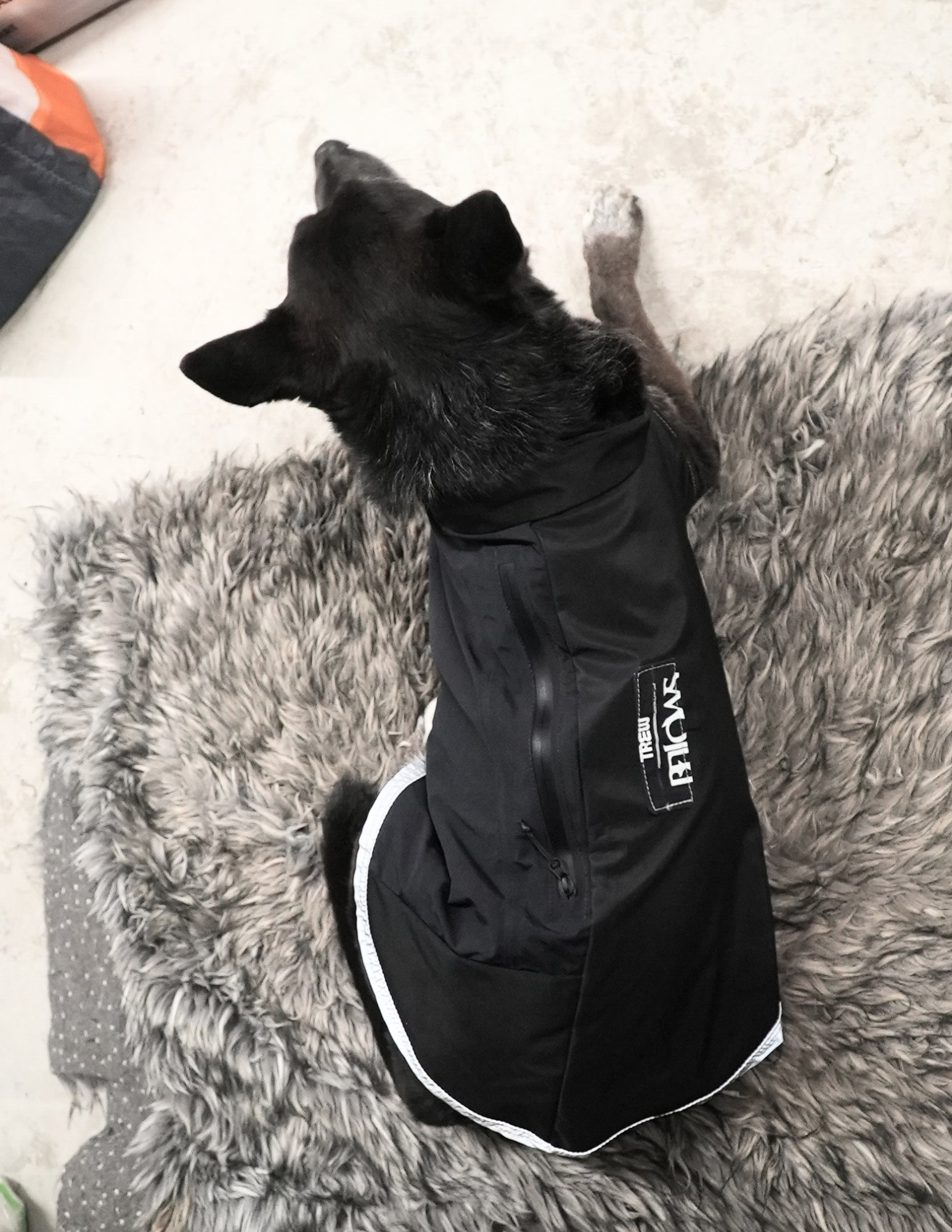 [AFTERLIFE] Upcycled PNW Dog Jacket - Medium