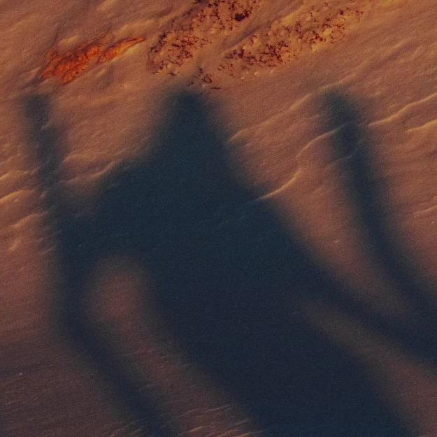 Early_Morning_Sun.png