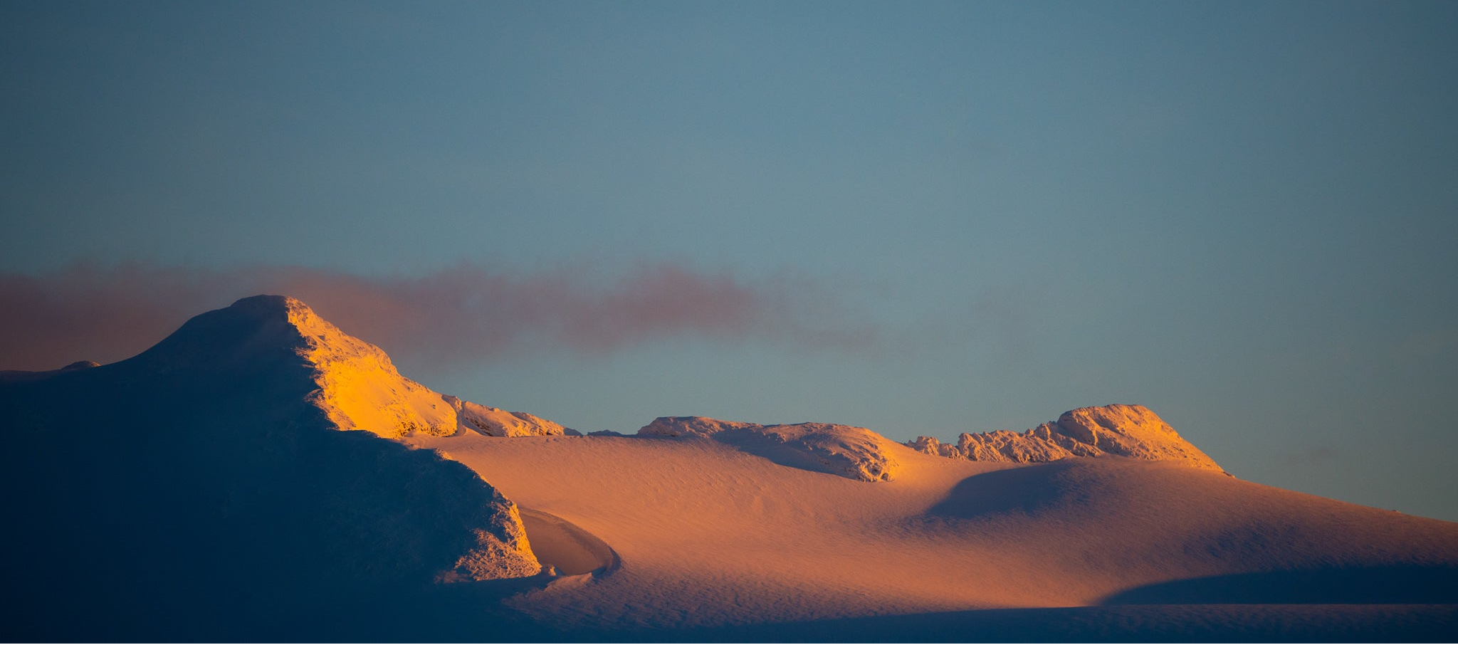 ZL_20210204-50_8df4ec2d-eaae-4726-bc52-ce066901d843.png